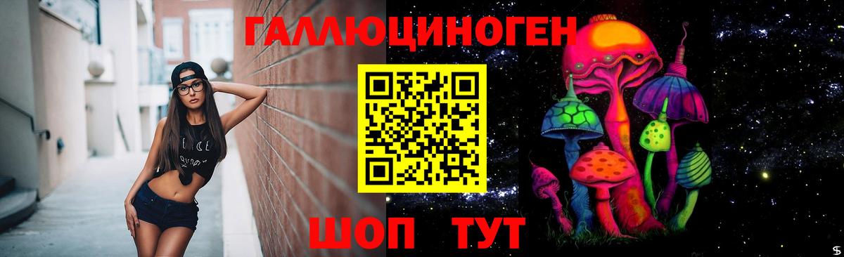 Кисловодск  Галлюциногенные грибы Cubensis  Вход с VPN 